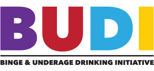 The San Diego County Binge and Underage Drinking Initiative
